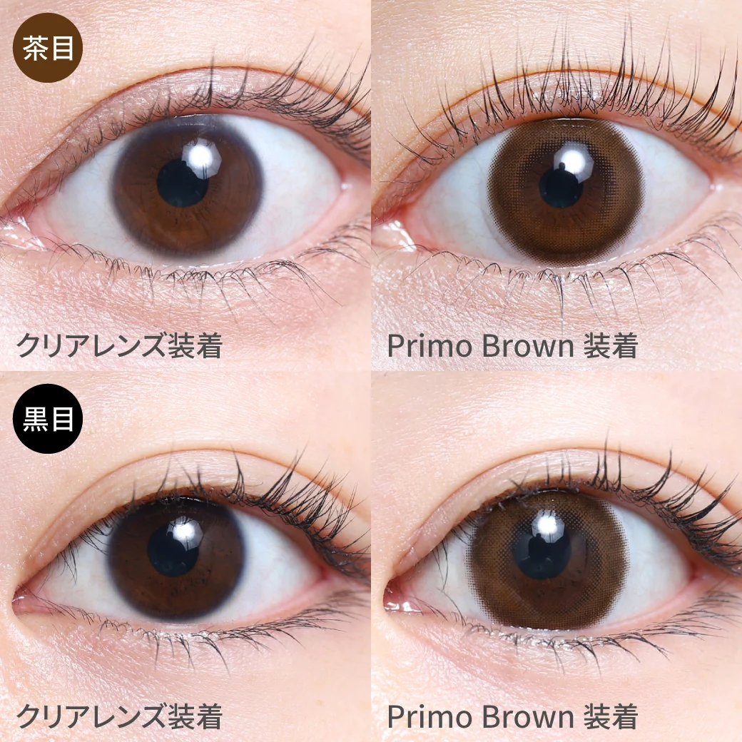 度あり・なし プリモブラウン茶目黒目着用画像 ふわっと発色で裸眼風大人キレイEYE｜カラコン ワンデー