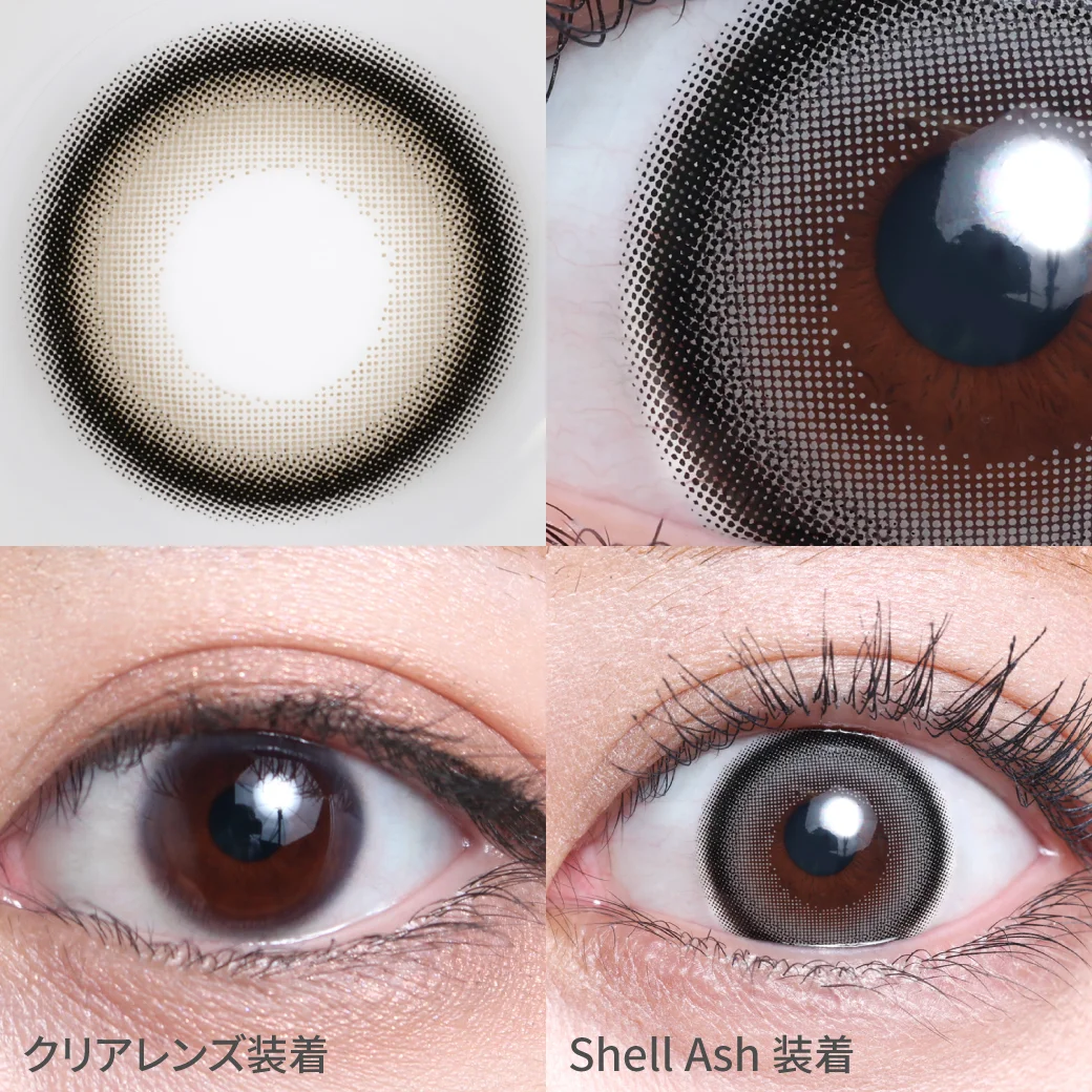 シェルアッシュの着画