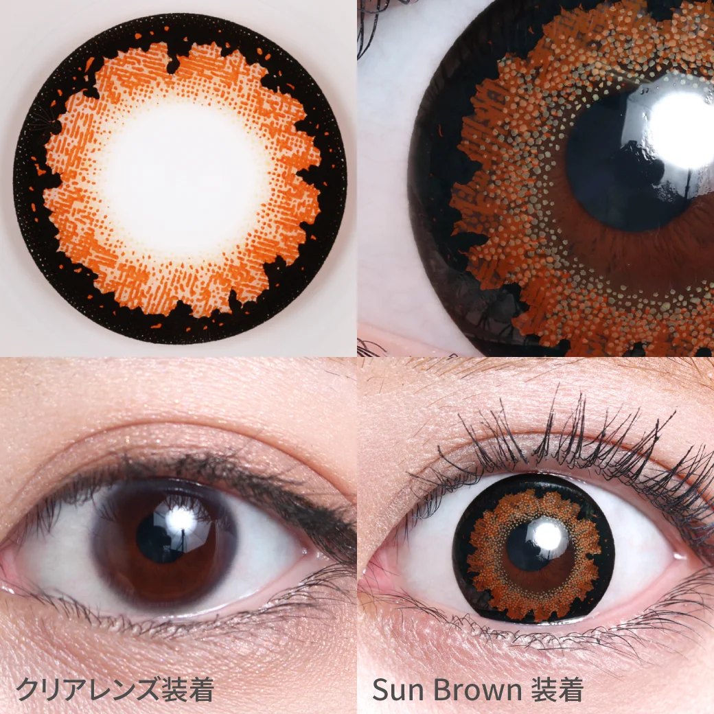 サンブラウンの着画