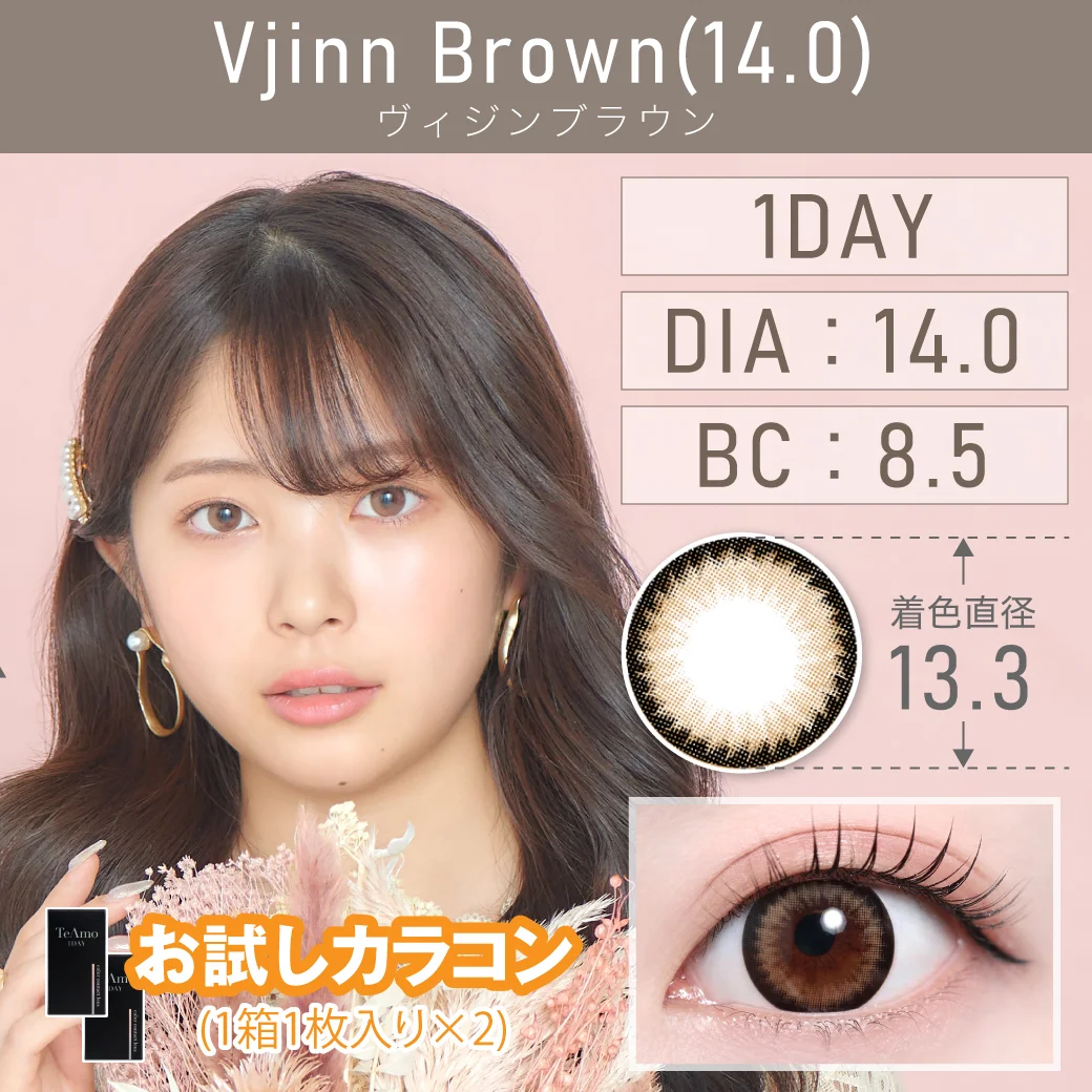 ヴィジンブラウン14.0のサムネイル画像