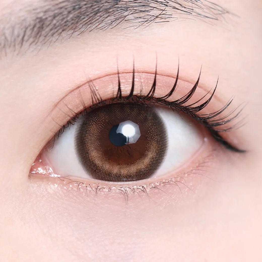 チルブラウンの着画