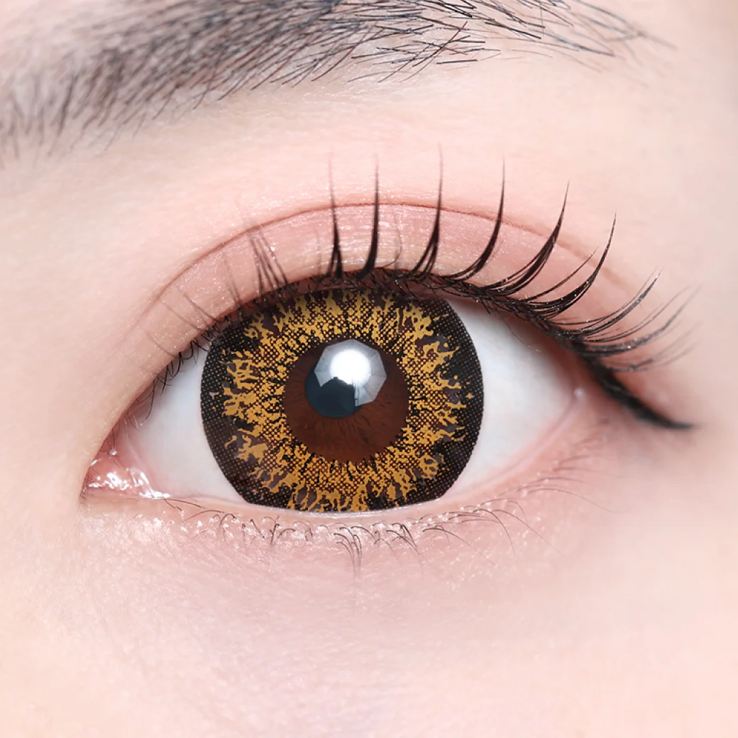 ハッピーブラウンの着画