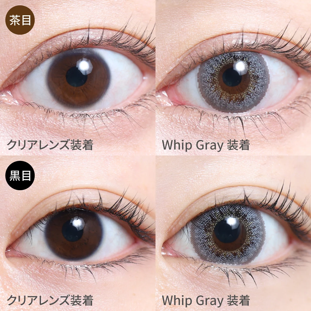 度あり・度なし Whip Gray ホイップグレー茶目黒目着用着画 ブラウンのフチで瞳に馴染み 透明感あるグレーカラーはクールな印象を持ち 上品で大人っぽいハーフEYEに