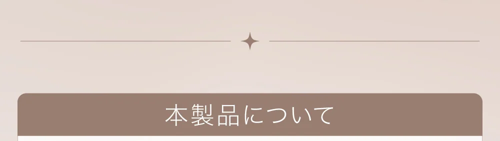本製品について