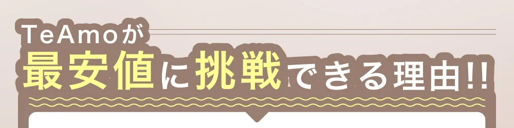 TeAmoが最安値に挑戦できる理由