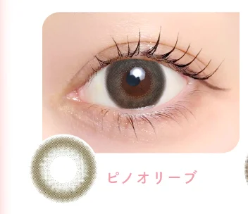 ピノオリーブ