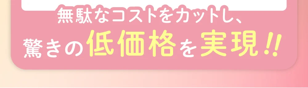 無駄なコストをカットし、驚きの低価格を実現!!