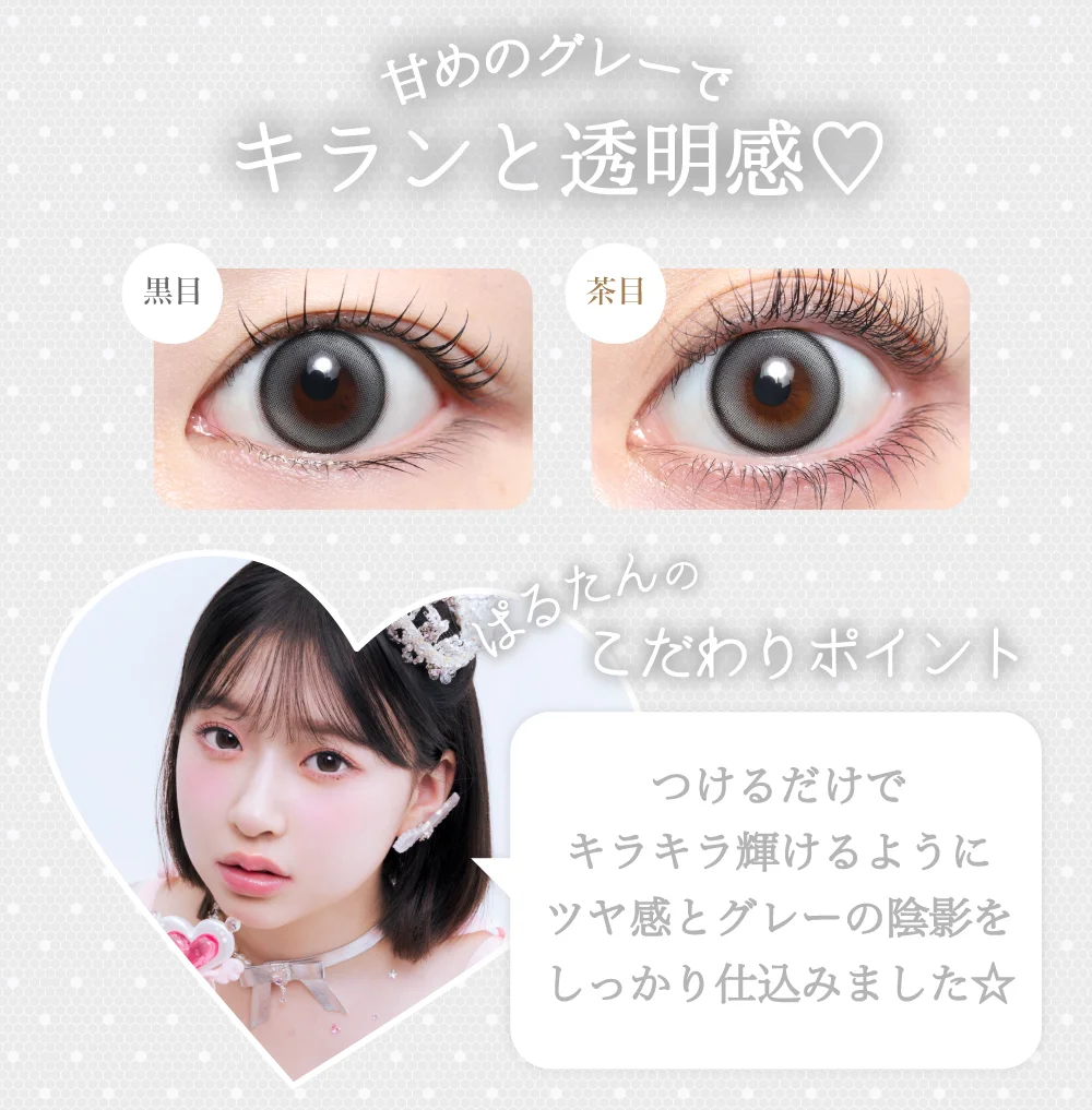 キトゥングレー紹介