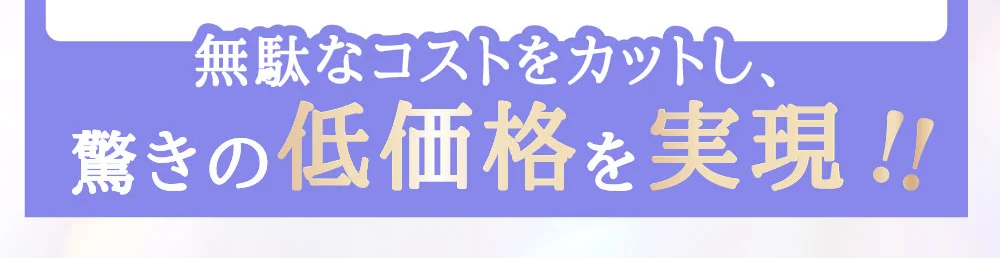 無駄なコストをカットし、驚きの低価格を実現!!