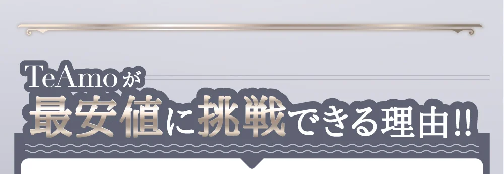 TeAmoが最安値に挑戦できる理由