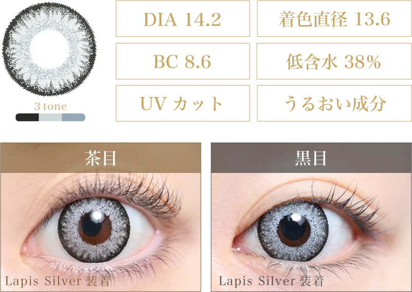 Lapis Silver 着画＆スペック