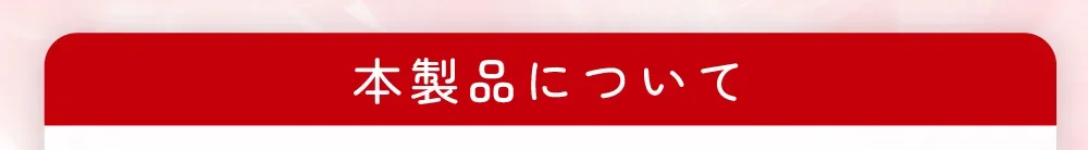 本製品について