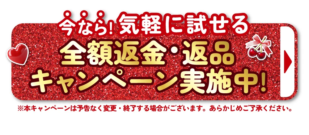 全額返金・返品キャンペーン