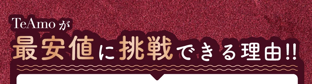 TeAmoが最安値に挑戦できる理由