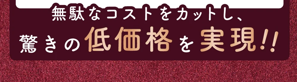 無駄なコストをカットし、驚きの低価格を実現!!