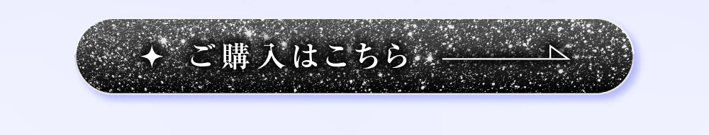 ナイトグレー購入ボタン2