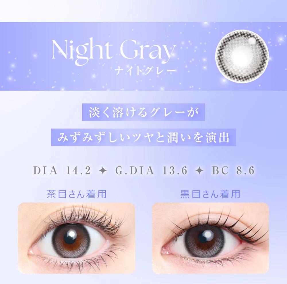 ナイトグレー紹介
