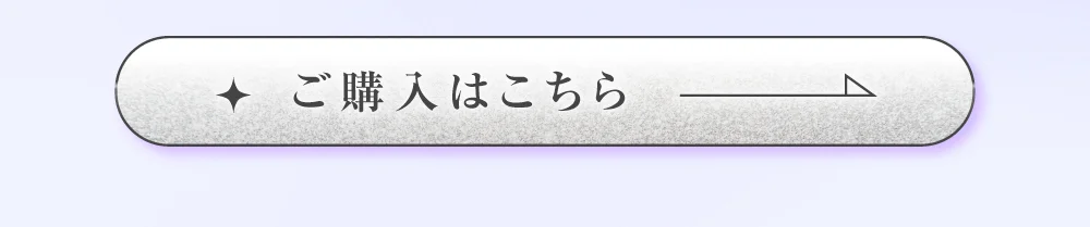 ナイトグレー購入ボタン2