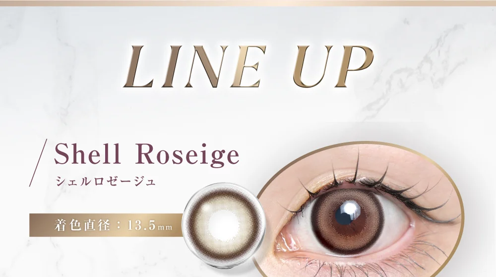 LINE UP シェルアッシュ