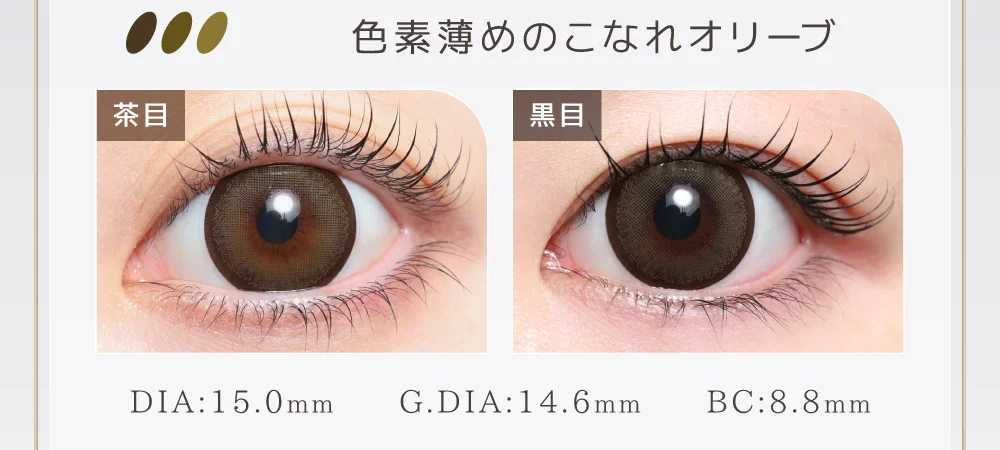 色素薄めのこなれオリーブ