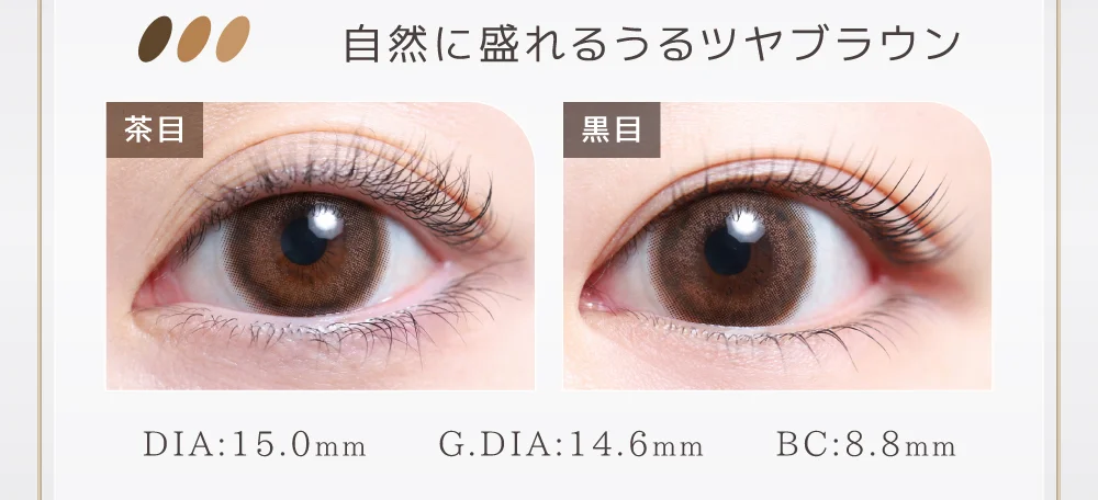 自然に盛れるうるツヤブラウン