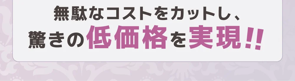 無駄なコストをカットし、驚きの低価格を実現!!