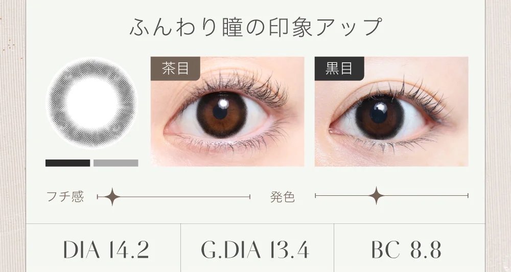 ふんわり瞳の印象アップ