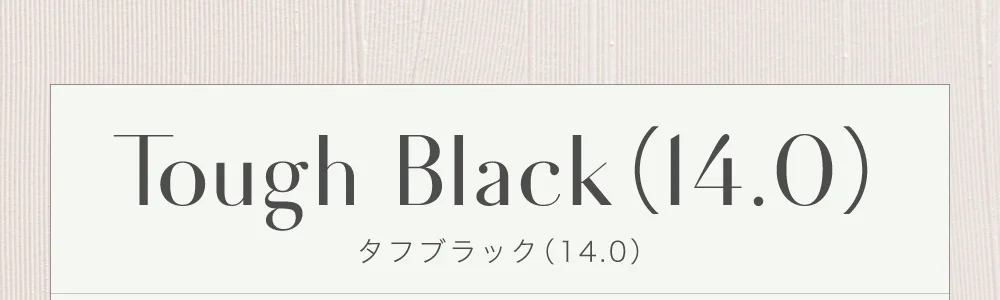タフブラック（14.0） 