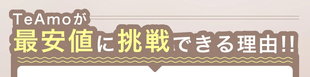 TeAmoが最安値に挑戦できる理由