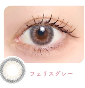 フェリスグレー