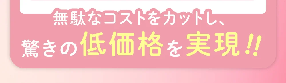 無駄なコストをカットし、驚きの低価格を実現!!