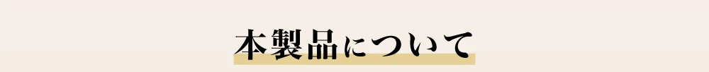 本製品について