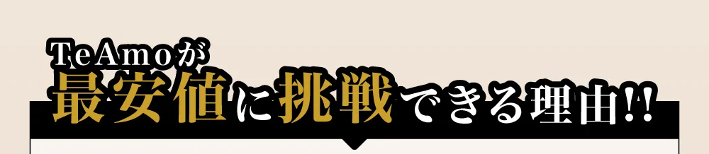 TeAmoが最安値に挑戦できる理由