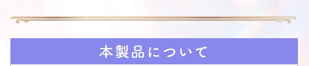 本製品について