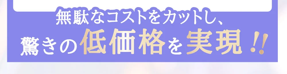 無駄なコストをカットし、驚きの低価格を実現!!