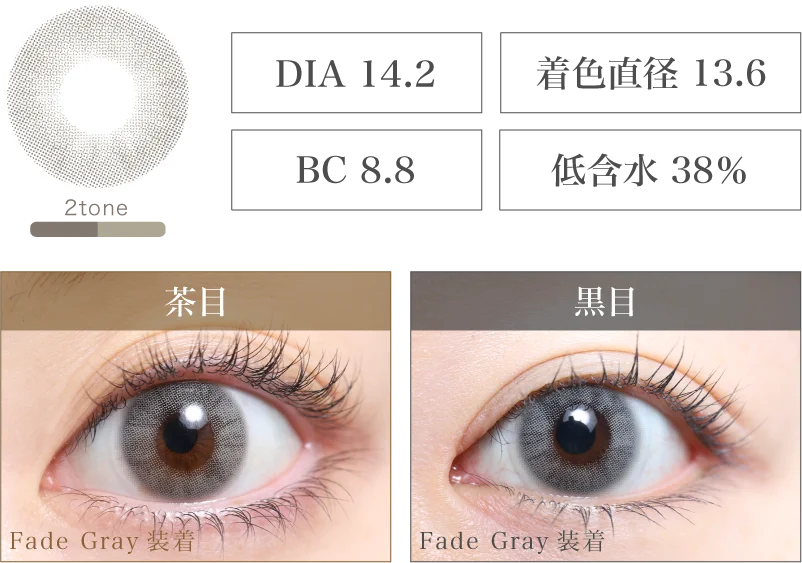 Fade Gray 着画＆スペック