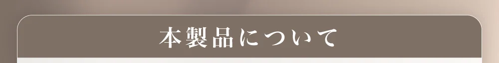 本製品について
