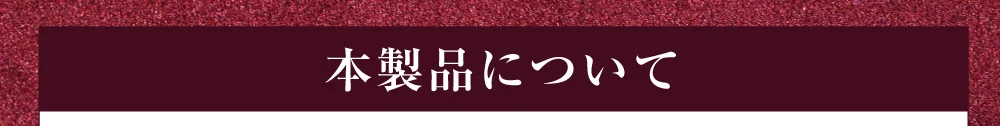 本製品について