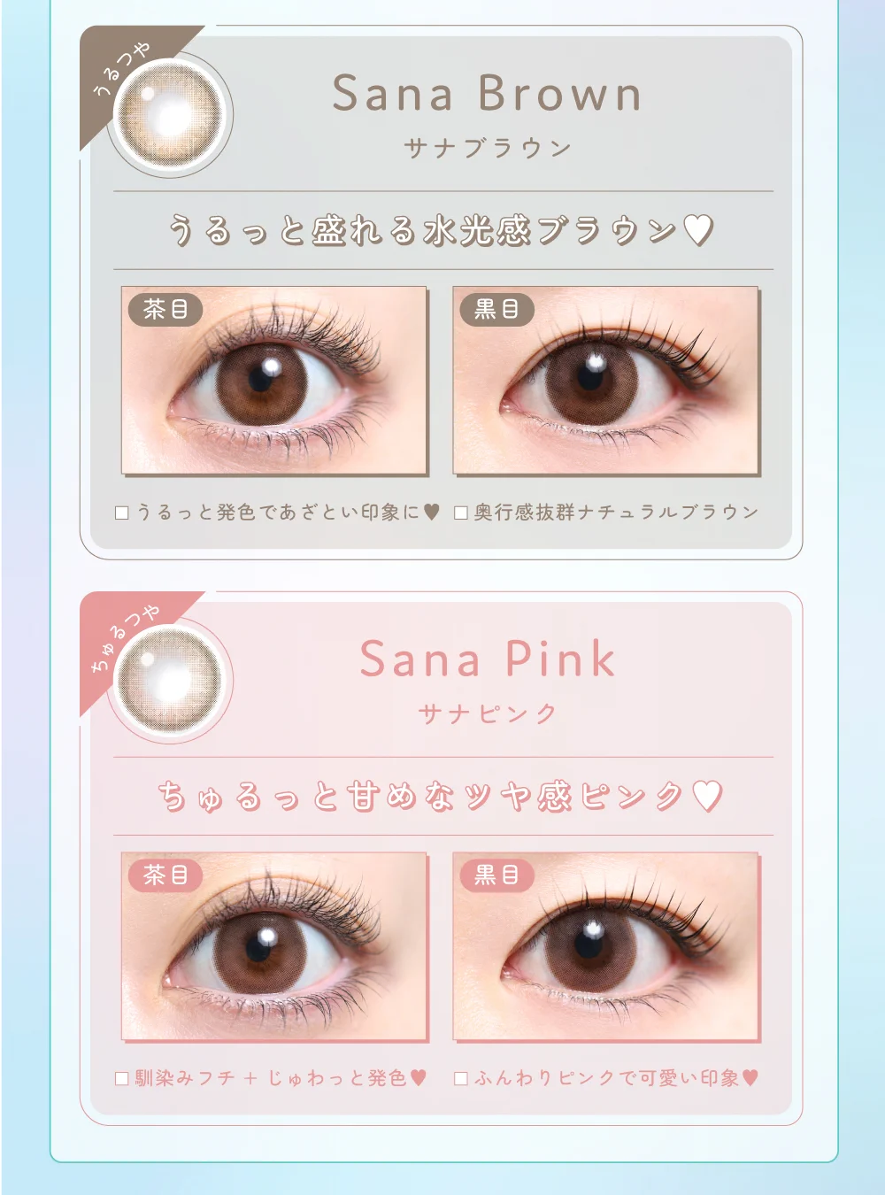 サナ着画