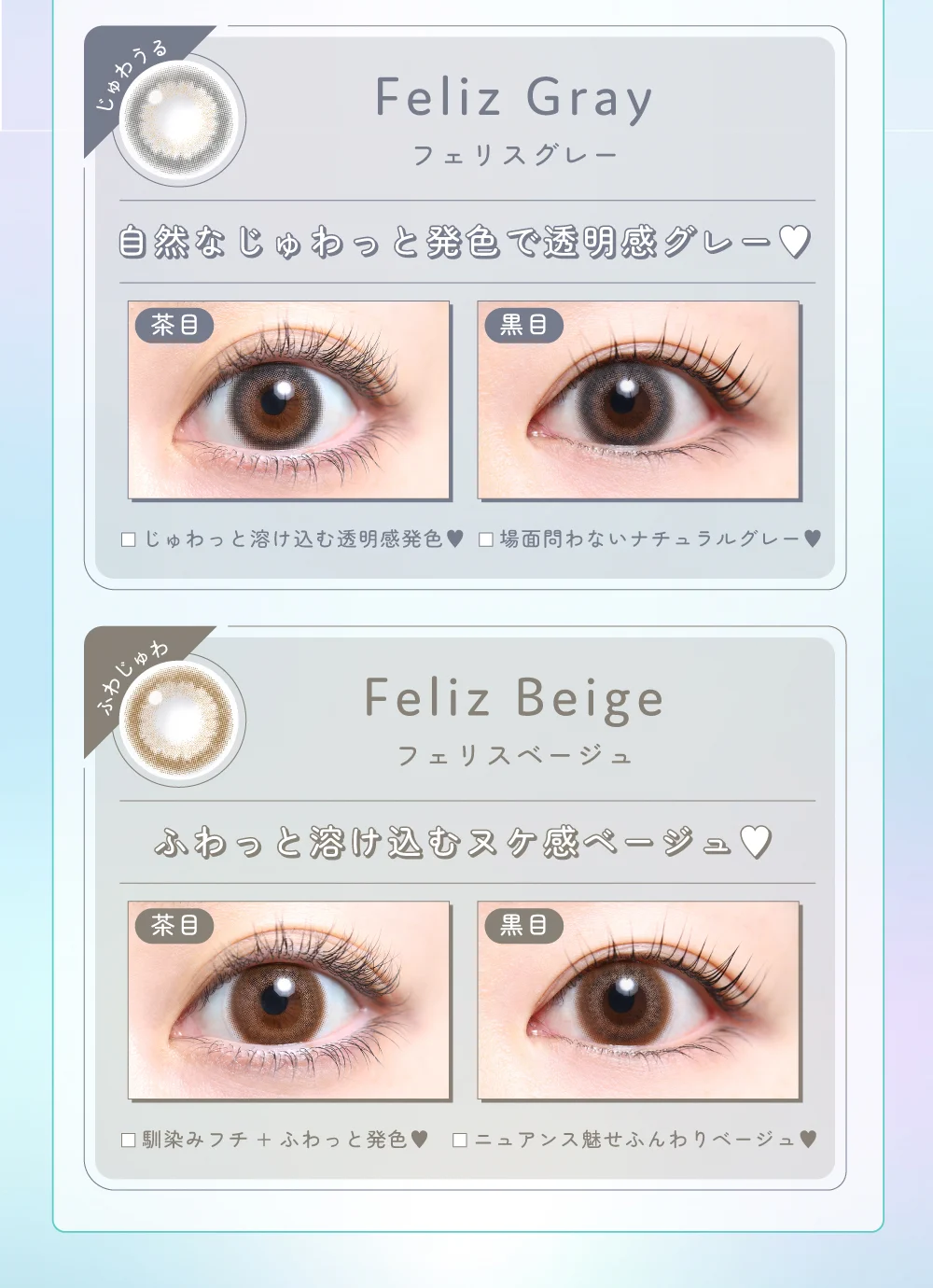 フェリス着画