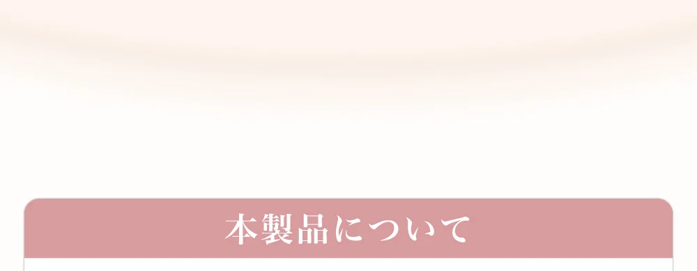 本製品について