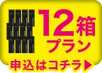 TeAmo 1DAY カラコン 定期便 12箱プランオーバーレイバナー