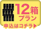 TeAmo 1DAY 乱視用カラコン 定期便 12箱プランオーバーレイバナー