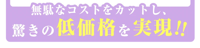 無駄なコストをカットし、驚きの低価格をを!!