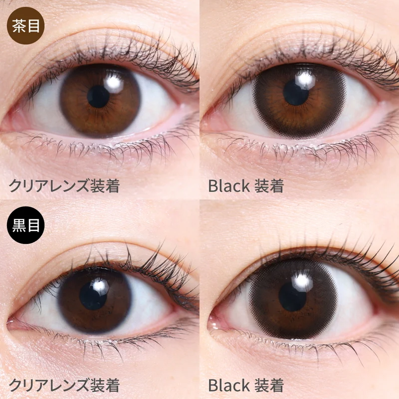 tomobear様ブラック一枚 ブラック｜即日発送＆激安カラコン・コンタクトならTeAmo公式