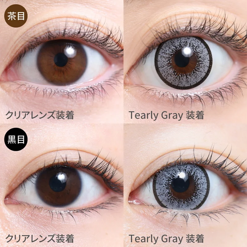 【国内即納】TENDENCE DE COLOR MEDIUM TY933005 TY933005 | Tendence Japan －テンデンス日本公式サイト－