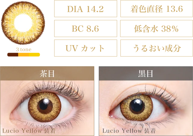 Lucio Yellow 着画＆スペック