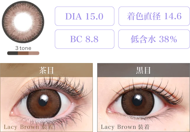 【国内即納】TENDENCE DE COLOR MEDIUM TY933005 TY933005 | Tendence Japan －テンデンス日本公式サイト－