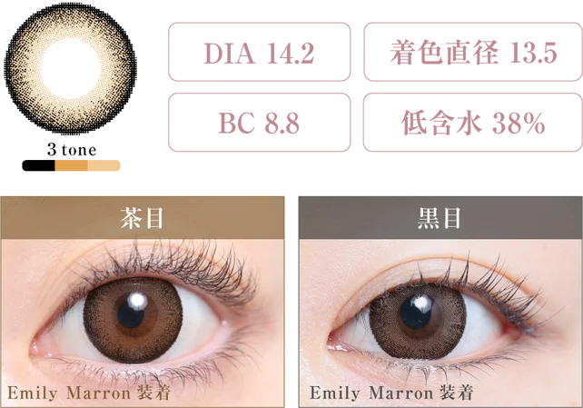 エミリーマロン 度なし｜即日発送＆激安カラコン・コンタクトならTeAmo公式